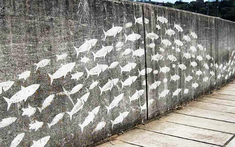reverse-graffiti-fish